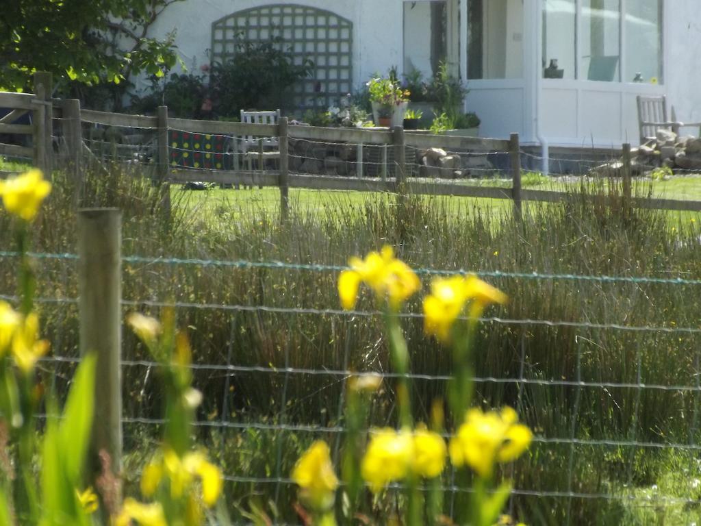 The Swallows Guest House New Quay  Zimmer foto