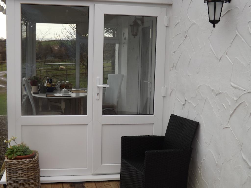 The Swallows Guest House New Quay  Zimmer foto